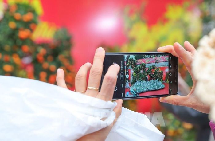 Người dân lưu lại kỷ niệm với cây quýt tạo hình rồng tại chợ hoa quận Hoàng Mai. Ảnh: Hoàng Hiếu - TTXVN 