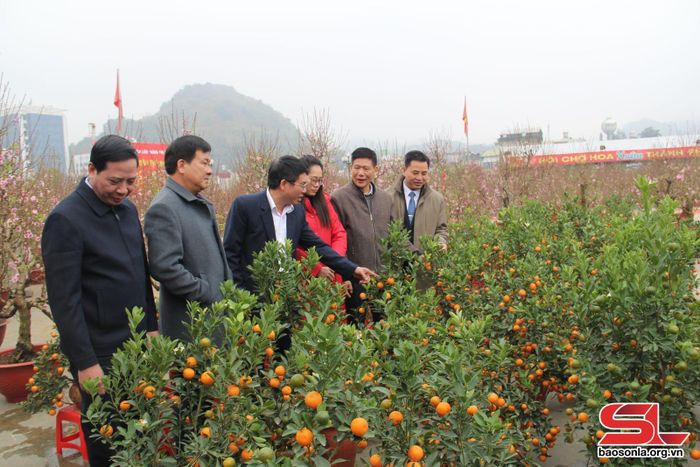 Đại biểu thăm chợ hoa xuân.