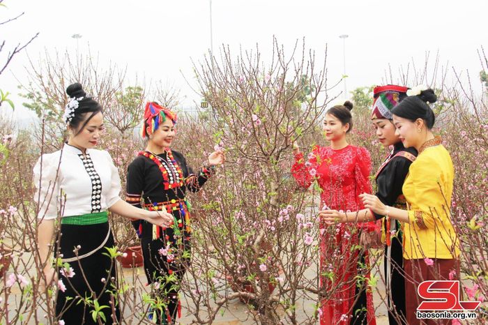 Du khách trải nghiệm Hội chợ hoa xuân thành phố Sơn La.