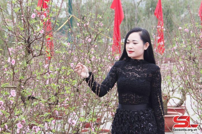 Hoa đào cảnh trưng bày bán tại hội chợ.