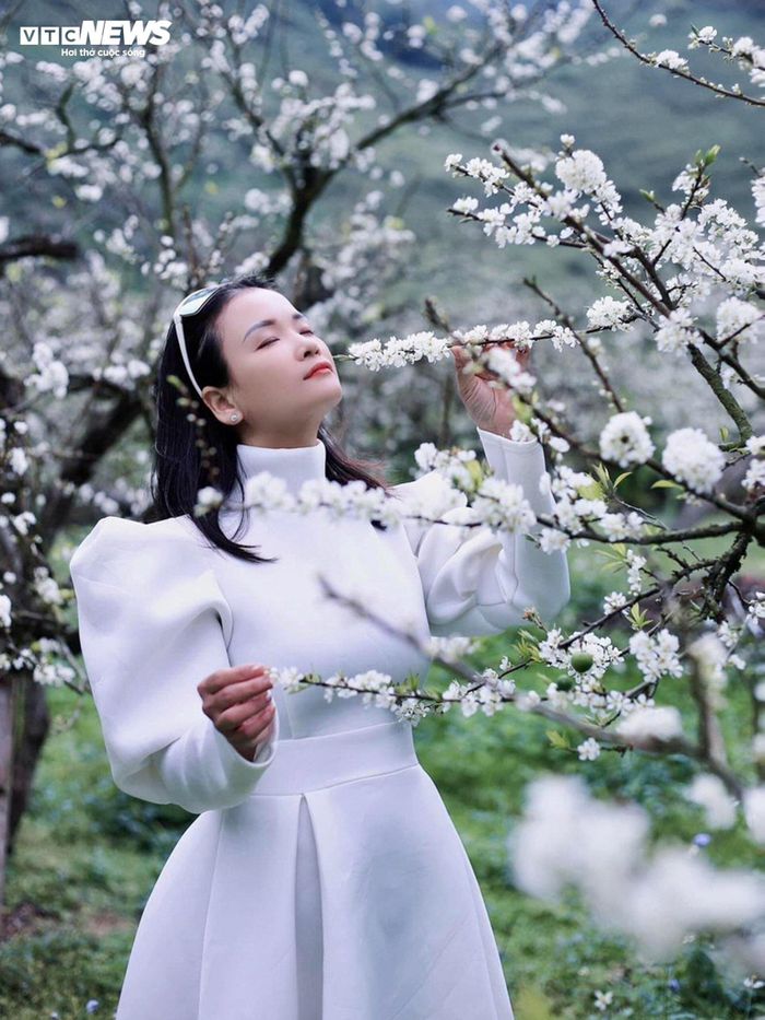 "Vì hoa mận chỉ nở rộ trong thời gian ngắn nên nhiều người ở xa vẫn cố gắng sắp xếp công việc để được tới vùng đất cao nguyên, đắm mình trong những cánh rừng mận trắng muốt", Mỹ Hà chia sẻ.