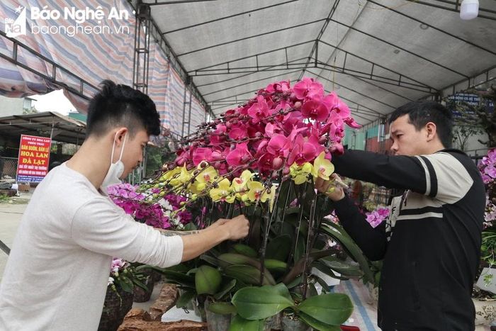  Thợ kết lan kiếm tiền triệu mỗi ngày dịp áp Tết. Ảnh: T.P 