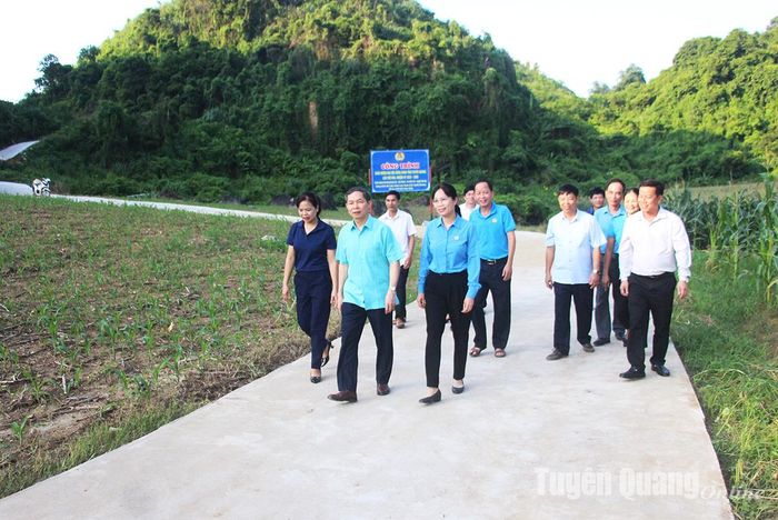 Lãnh đạo huyện Yên Sơn thăm tuyến đường thôn Quang Sơn - Quang Chanh, xã Chiêu Yên (Yên Sơn). Ảnh: Minh Thủy