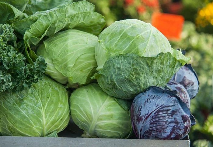 Bắp cải chứa nhiều chất dinh dưỡng, vitamin và khoáng chất…
