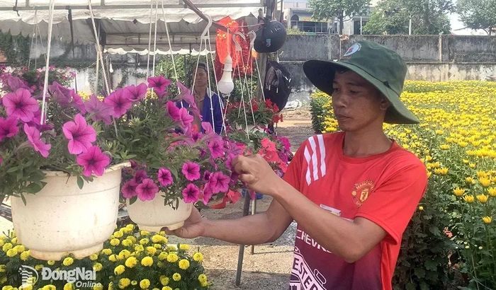 Nguồn hoa dồi dào, đa dạng chờ khách mua. Ảnh: B.Nguyên