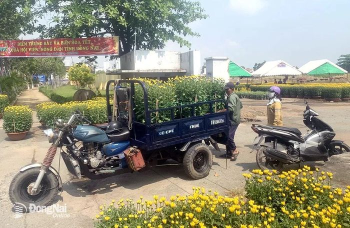 Khách hàng đến mua hoa tại điểm bán hoa của nông dân H.Thống Nhất ở TP.Biên Hòa. Ảnh: B.Nguyên