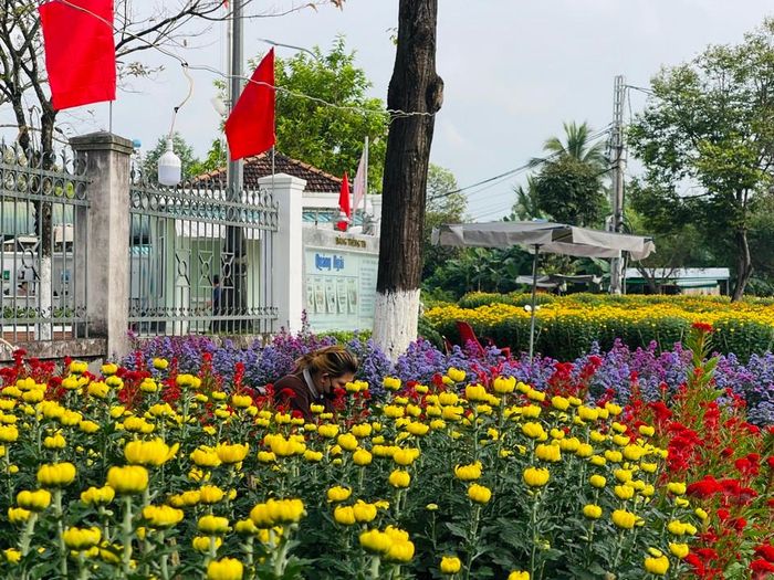 Năm nay, chợ hoa khá phong phú, đa dạng các loại hoa rực rỡ sắc màu. Ảnh: Hà Phương
