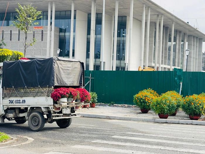 Theo ban tổ chức chợ hoa xuân, vài ngày tới, hoa, cây cảnh tiếp tục đưa về và sẽ lấp đầy các vị trí đã được đăng ký. Ảnh: Hà Phương