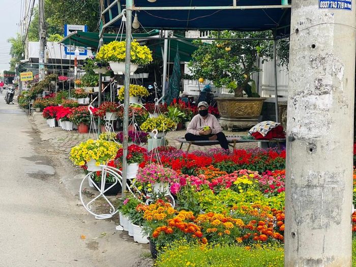 Theo các hộ kinh doanh tại chợ hoa, thời điểm hiện tại khách hàng còn khá thưa thớt, sức mua yếu. Ảnh: Hà Phương
