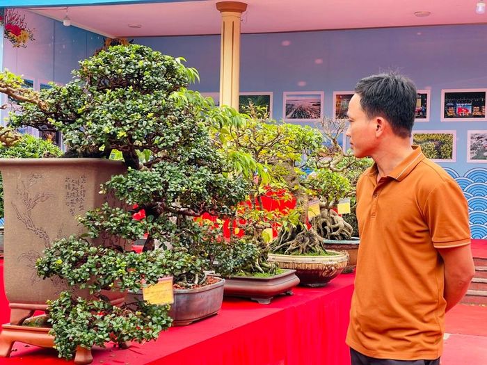 Nhiều người đam mê bon sai đánh giá, triển lãm năm nay có nhiều cây độc đáo, chủng loại cũng mới mẻ hơn. Ảnh: Hà Phương