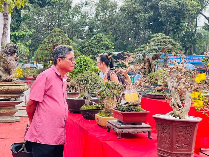 Ngoài chợ hoa xuân, UBND TP Quảng Ngãi còn tổ chức triển lãm cây cảnh nghệ thuật “Chào Xuân Giáp Thìn 2024" tại Quảng trường đường Phạm Văn Đồng (TP Quảng Ngãi). Ảnh: Hà Phương
