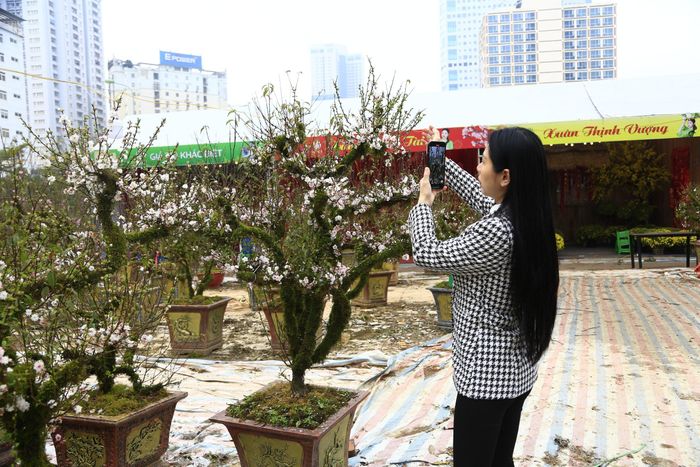 Livestream, làm video đăng tải trên các nền tảng mạng xã hội là cách để nhiều chủ hoa bán hàng dịp cận tết
