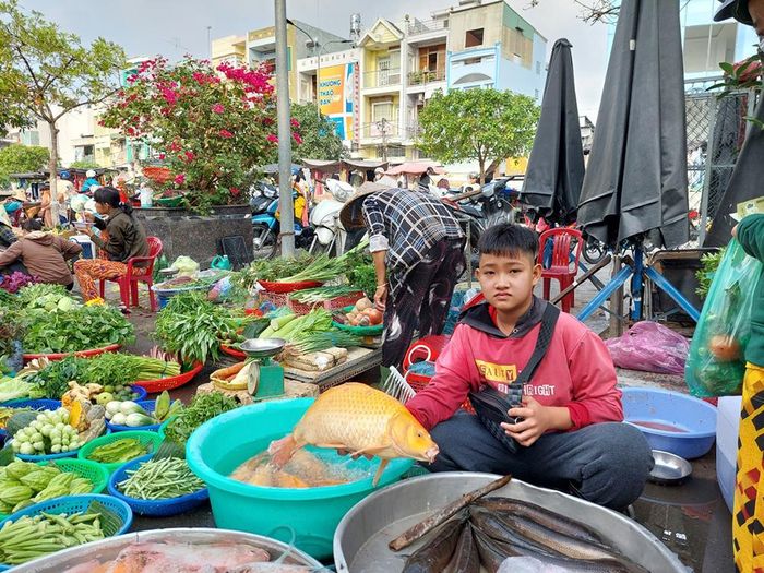 Giá cá chép không tăng, nhưng bán khá chậm
