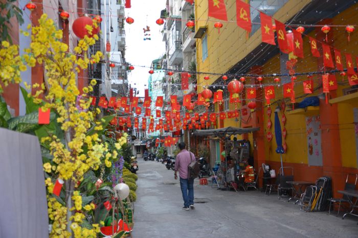 Nhành mai vàng đối lập bên cạnh màu đỏ trang trí truyền thống khiến những con hẻm Sài Gòn mùa Tết càng trở nên lộng lẫy hơn