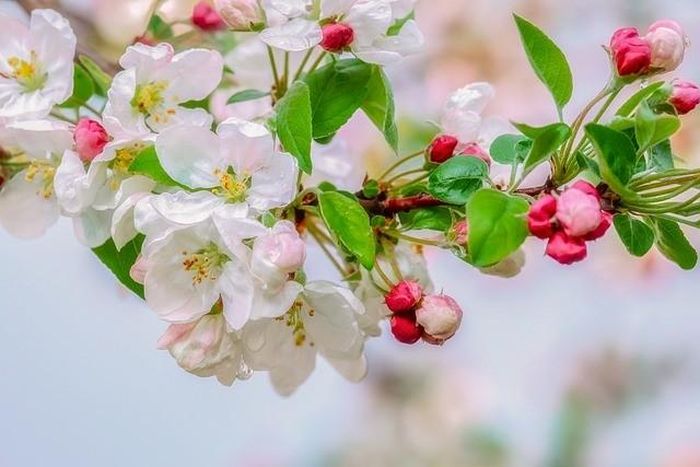 Trẻ sinh vào tháng 7 Âm lịch cũng thuộc nhóm trẻ đặc biệt. (Ảnh Pixabay)