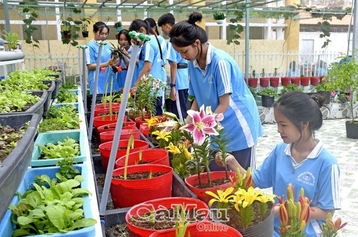 Học sinh Trường THPT Ðầm Dơi (huyện Ðầm Dơi) trồng cây phục vụ việc học tập tại vườn thực hành sinh học của trường.