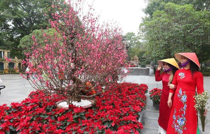Tết cũng là thời điểm người dân mặc những bộ quần áo đẹp, chụp tấm hình kỷ niệm bên phố phường ngập sắc xuân.