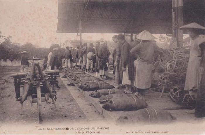 Góc bán lợn