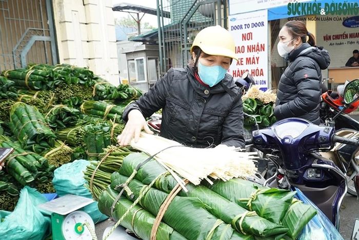 Theo các tiểu thương, lá dong tại chợ Trần Quý Cáp được nhập một phần từ thôn Tràng Cát (Thanh Oai, Hà Nội), còn phần lớn nhập từ các tỉnh phía Tây Bắc, Đông Bắc. Ảnh: Suckhoedoisong