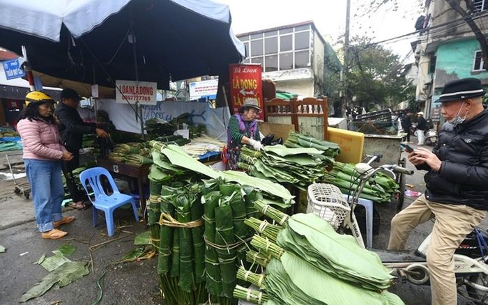 Đây là chợ truyền thống chuyên bán lá dong lâu đời nhất Hà Nội. Tại đây, lá dong được bán quanh năm nhưng thời điểm nhộn nhịp nhất là những ngày cận Tết Nguyên đán, từ ngày 17 đến 29 tháng Chạp. Ảnh: Daidoanket