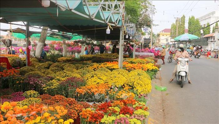 Chợ hoa xuân ở đường Bùi Văn Danh, phường Mỹ Xuyên (thành phố Long Xuyên, tỉnh An Giang) lác đác khách mua. Ảnh: Công Mạo/TTXVN