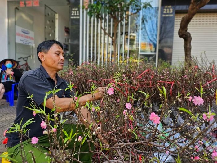 Đào sau khi nhập về được người bán định hình lại dáng và cột bì nước vào gốc giúp giữ độ tươi. Ảnh: Mộc Trà