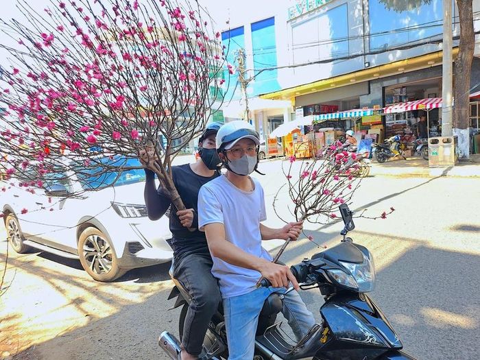 Những cành đào mini với sắc hồng tươi thắm được nhiều người chọn mua bởi sự nhỏ gọn và giá thành hợp lý. Ảnh: Mộc Trà