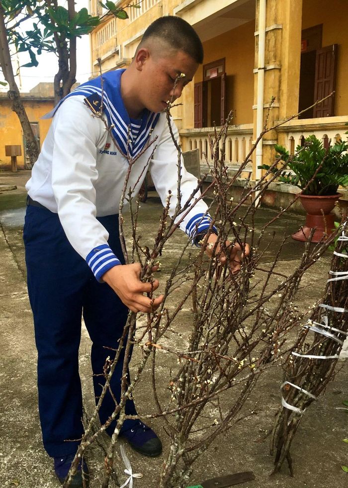 Nhận những cành đào Tết từ đất liền gửi ra.