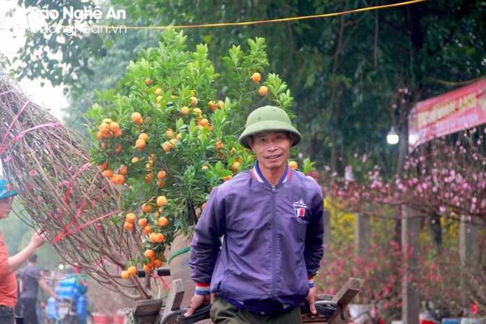  Việc vận chuyển cây cảnh Tết đã được ông Dũng làm nhiều năm nay. Ảnh: Q.A 