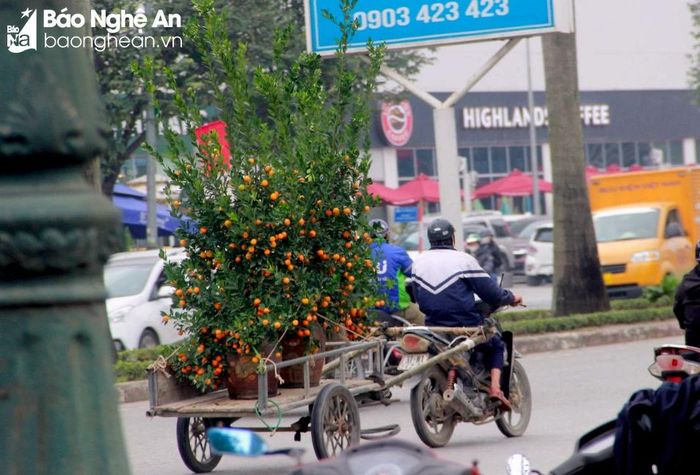  Những người "chở Tết" cho khách xuất hiện nhiều trên các tuyến đường ngày cận Tết. Ảnh: Q.A 