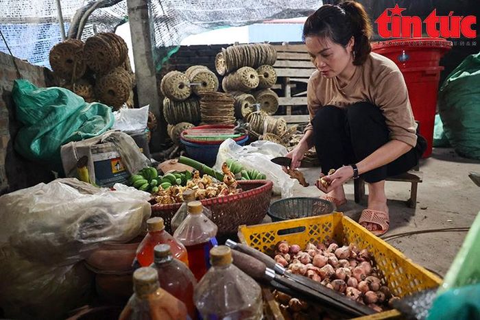 Mỗi hộ dân đều phải có bí quyết làm gia vị riêng, thêm nếm gia vị trong suốt quá trình kho cá một cách cầu kỳ.