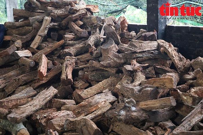 Củi để đun cá phải là củi nhãn. Mùi khói của củi quyện với mùi cá kho trở nên rất quyết rũ.