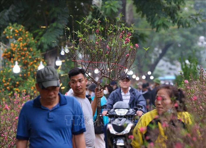 Chợ hoa trên phố Trần Nhân Tông (quận Hai Bà Trưng, Hà Nội) nhộn nhịp chiều 27 Tết. Ảnh: Thanh Tùng/TTXVN