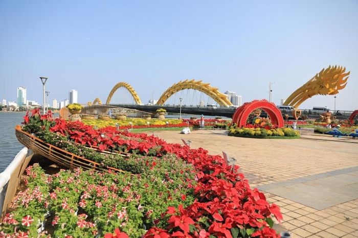 Đường hoa nhiều màu sắc đón Tết Nguyên đán 2024