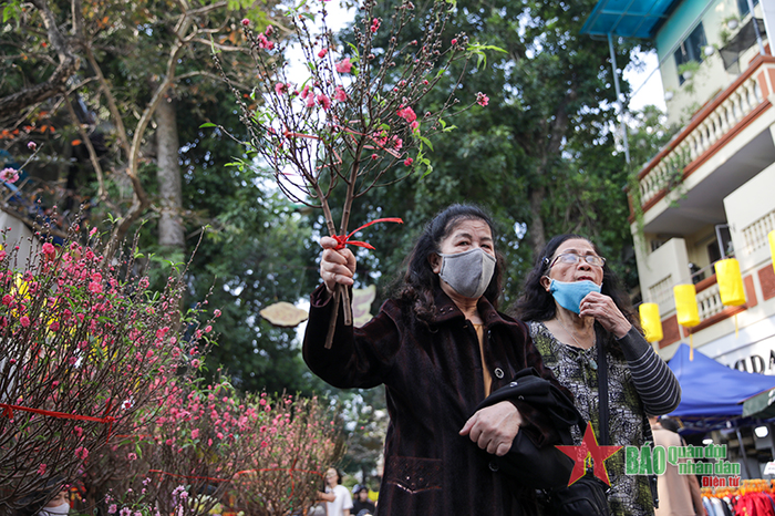 Những cành đào bích, đào phai nhỏ xinh, cầm vừa tay được người dân ưa chuộng mua về để trang trí nhà cửa.