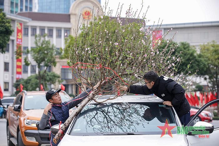 Các cành đào thế huyền được người bán chào hàng ngay sát mặt đường. Giá dao động từ 800.000 đồng đến 1,5 triệu đồng tùy kích thước. Đây cũng là mặt hàng được nhiều người dân chọn lựa, bán chạy nhất ở chợ.