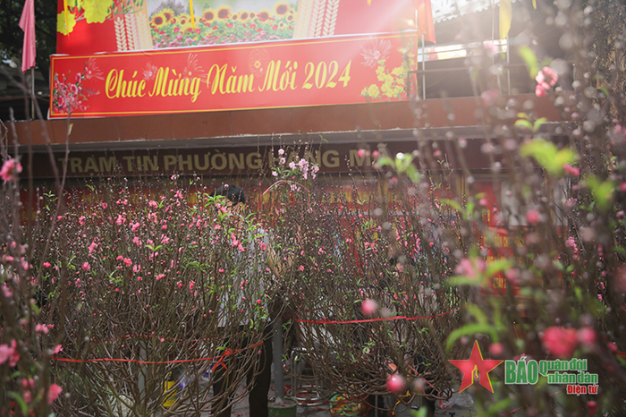 Hình thành từ những năm đầu thế kỷ 20, đây được coi là phiên chợ lâu đời nhất ở Hà Nội, chỉ họp một lần duy nhất trong năm. Chợ hoa Hàng Lược bắt đầu hoạt động từ ngày 15 đến 30 tháng Chạp.