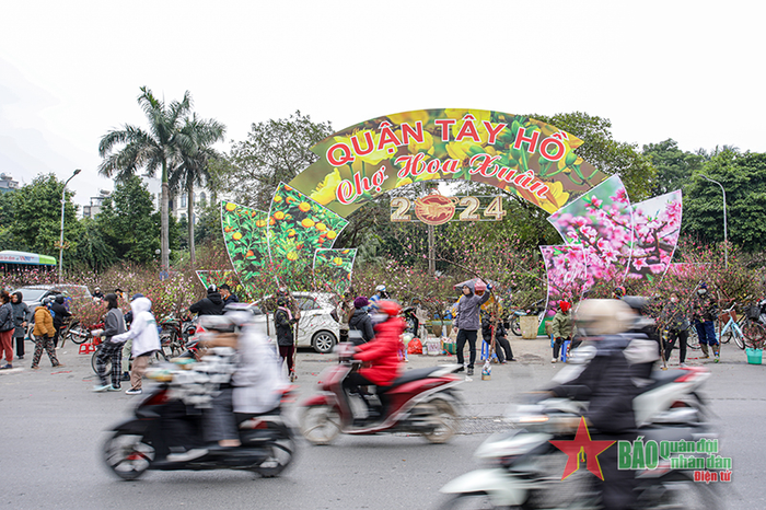 Chợ hoa Tết Lạc Long Quân trải dài dọc tuyến đường dài 5km. Đây là nơi có không gian rộng rãi, thuận lợi cho việc giao dịch, mua bán.
