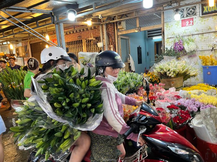 Chở đầy xe hoa ly lúc rạng sáng.