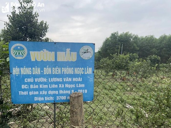 Vườn mẫu của gia đình anh Hoài, chị Đa được hỗ trợ xây dựng từ năm 2019. Ảnh: Tiến Đông