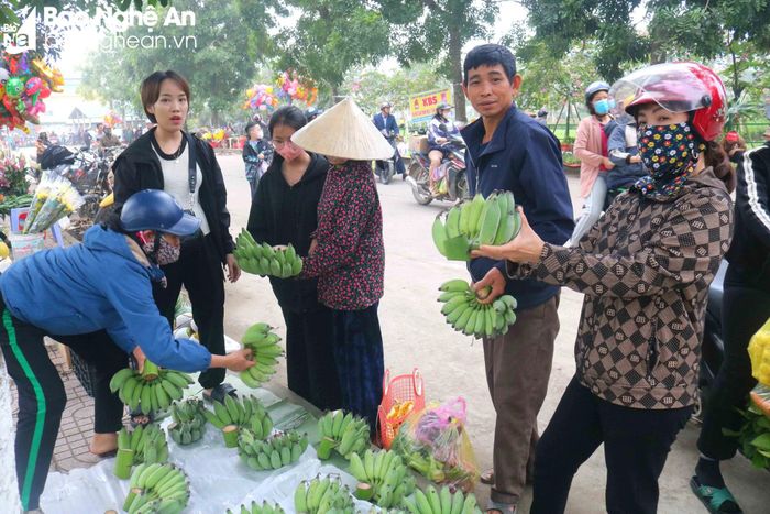  Lâu nay, mỗi dịp Tết, chợ quê đều tràn ngập chuối xanh. Giá chuối năm nay khá đắt, tại chợ Cầu, xã Kim Liên (Nam Đàn), nải chuối ngự đẹp có giá trên dưới 150.000 đồng. Quan niệm của người dân là ngày Tết mua đắt hơn cũng được miễn là có nải chuối thờ đẹp: nhiều trái, trái to, đều. Ảnh: Huy Thư 