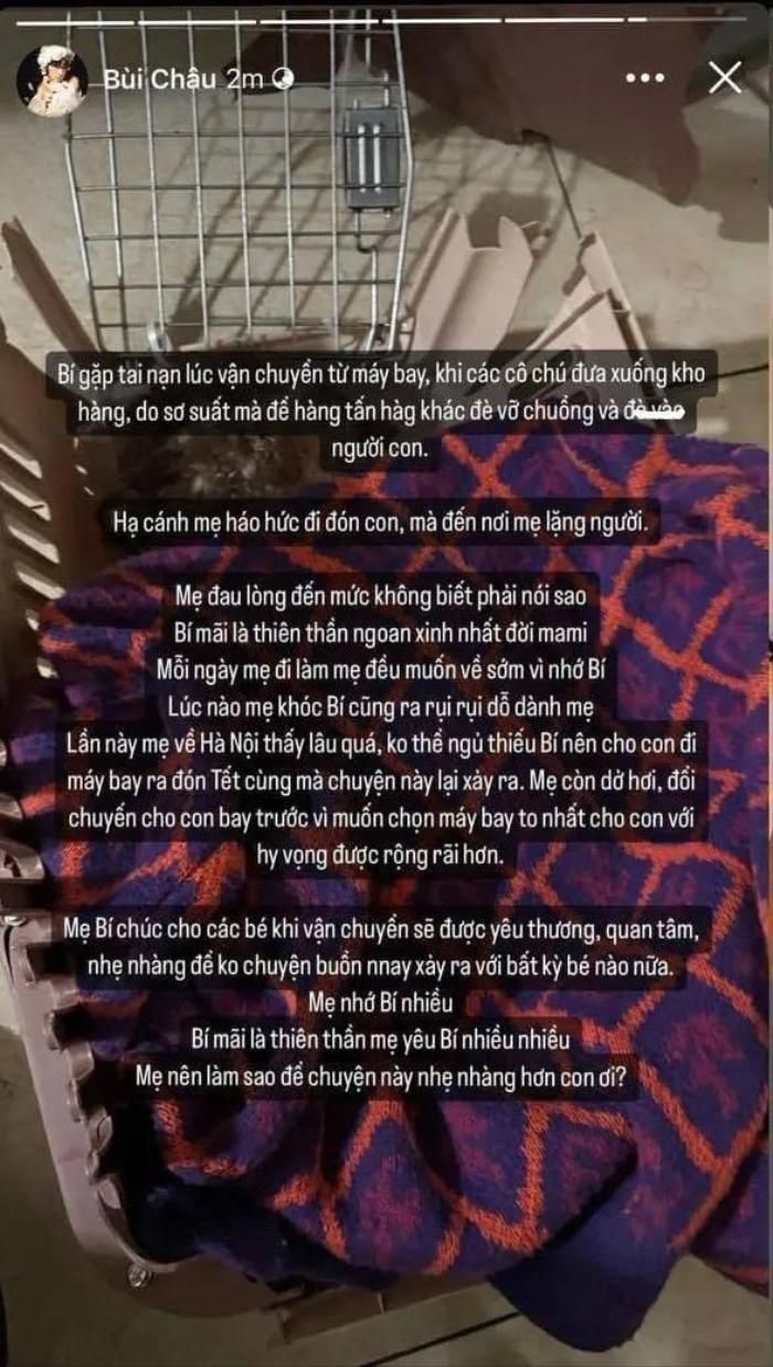 Mẹ Bí chúc cho tất cả các bé khi vận chuyển sẽ được yêu thương, quan tâm, nhẹ nhàng để chuyện buồn này không xảy ra với bất kỳ bé nào nữa. Mẹ nhớ bí nhiều. Bí mãi là thiên thần, mẹ yêu Bí nhiều. Mẹ phải làm sao để chuyện này nhẹ nhàng hơn con ơi?".