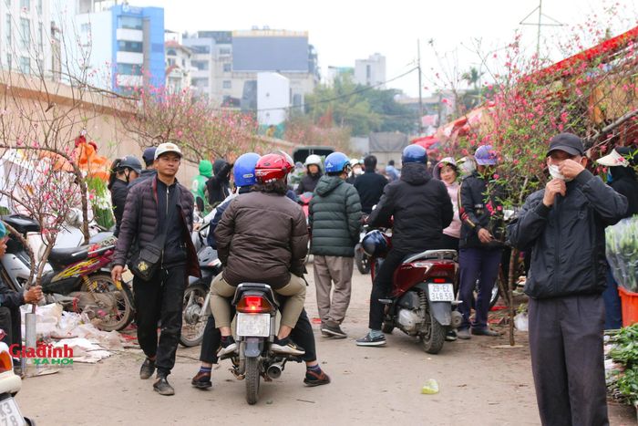 Thông thường, chợ hoa Quảng An họp vào lúc rạng sáng, nhưng những ngày cận Tết Nguyên đán, chợ hoa đã bắt đầu họp từ 9 - 10 giờ tối để phục vụ khách mua lẻ.