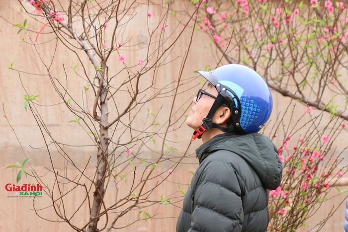 Chợ hoa Quảng An (Tây Hồ, Hà Nội) từ lâu được biết đến là một trong những chợ đầu mối lớn ở Hà Nội, cung cấp hoa tươi cho nhiều địa phương lân cận: Vĩnh Phúc, Phú Thọ, Hà Nam.