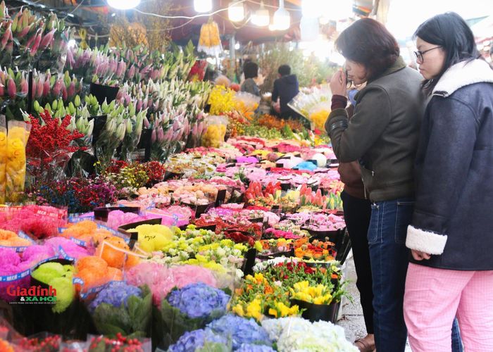 Chợ hoa Quảng Bá đông vui suốt từ rằm tháng Chạp đến hết chiều 30 Tết. Nơi đây không chỉ phục vụ cho khách bán buôn trên địa bàn Thủ đô mà còn cho cả khách lẻ đến tham quan và mua sắm.