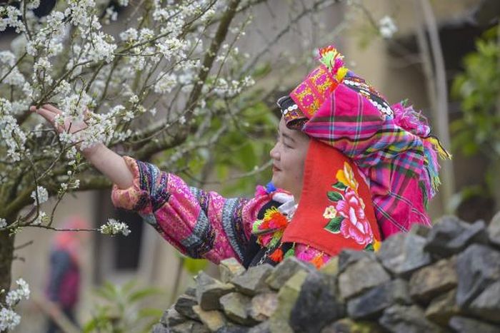 Sắc xuân Ảnh: Đỗ Thành Trung.