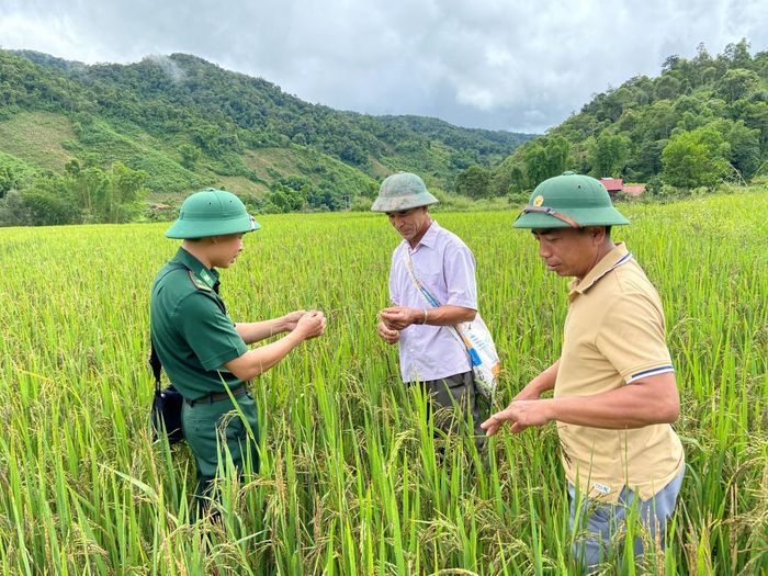 Ông Sừng Sừng Khai (đứng giữa) là một trong những người tiên phong thay đổi tập quán canh tác ở xã Sín Thầu. Ảnh: Bích Nguyên