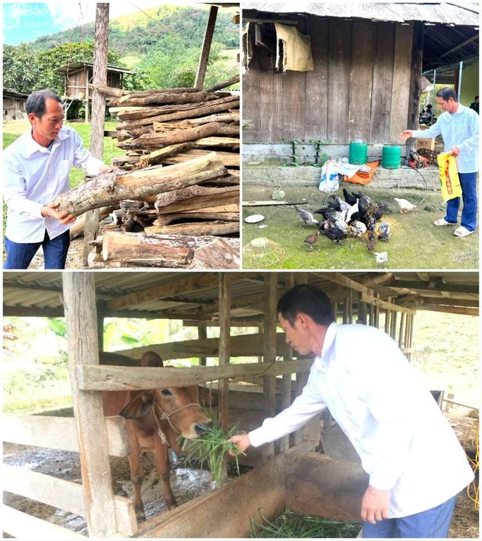 Nhờ chăm chỉ, gia đình Trưởng bản Thằm Thẩm (xã Nhôn Mai, huyện Tương Dương) Và Bá Ca có cuộc sống ổn định. Ảnh: Khánh Ly- Quỳnh An 
