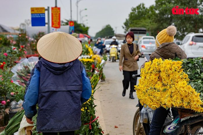 Khung cảnh chợ hoa dập dìu kẻ bán, người mua. Cả trăm loại hoa, cây cảnh tỏa hương khoe sắc ven đường. Những bó hoa hồng đỏ thắm, cúc vàng rực rỡ, lan hồ điệp quý phái, thạch thảo tím dịu dàng... chờ đợi người mua.