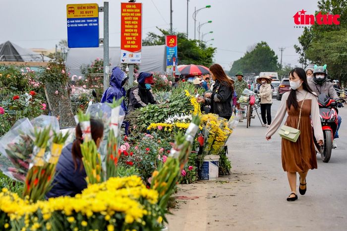 Giá hoa ở đây thường rẻ hơn đến 1/3 so với các nơi khác.